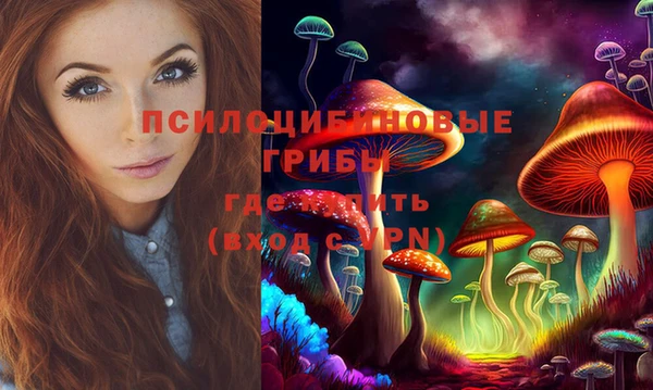 кокаин Белокуриха
