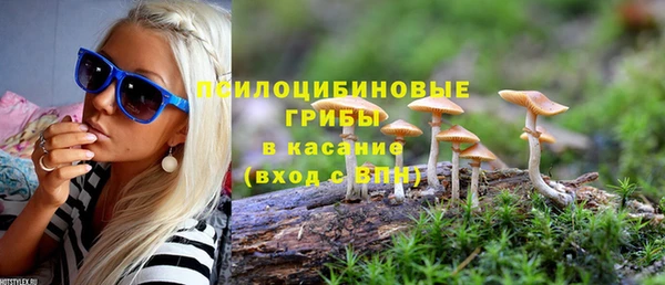 кокаин Белокуриха