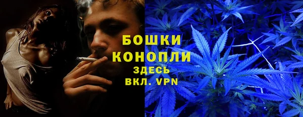 дживик Белоозёрский